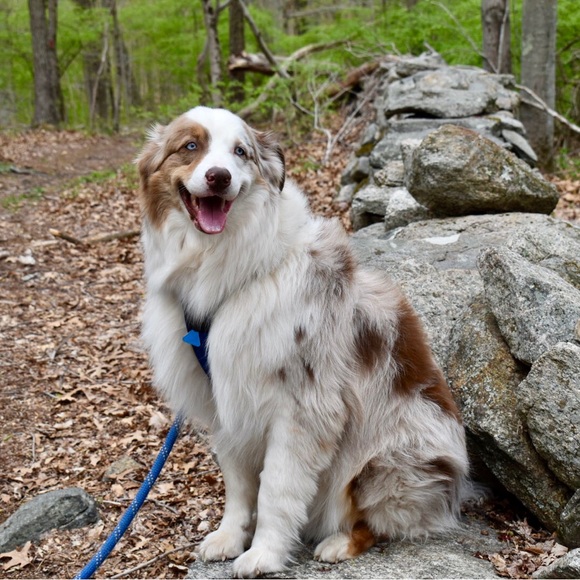 WELCOME to my closet! About me: - Picture 6 of 15